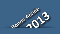 Voeux nouvelle ann�e
