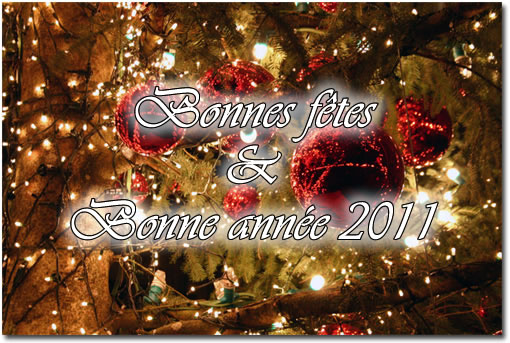 Bonne ann&eacute;e 2011